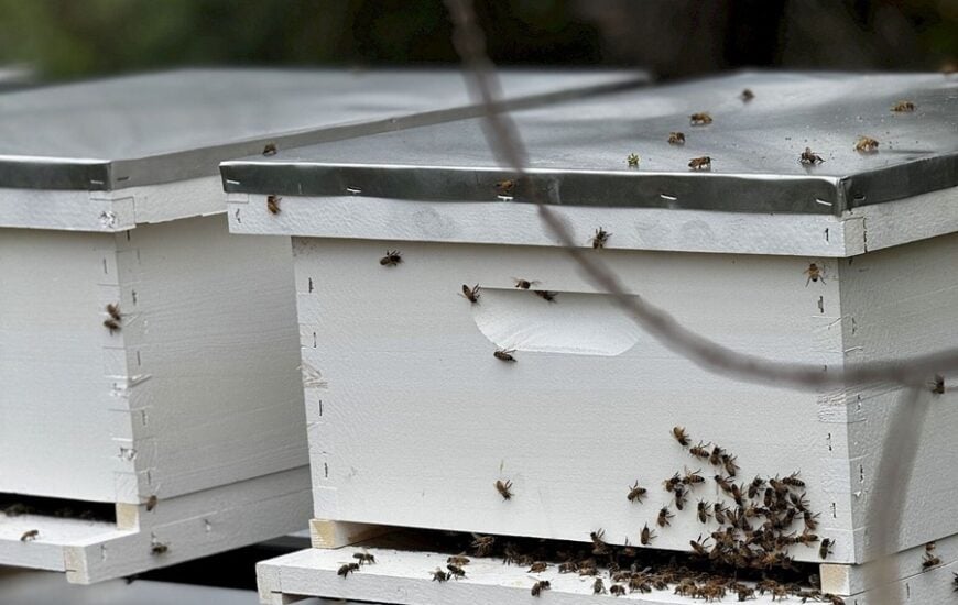 beehive