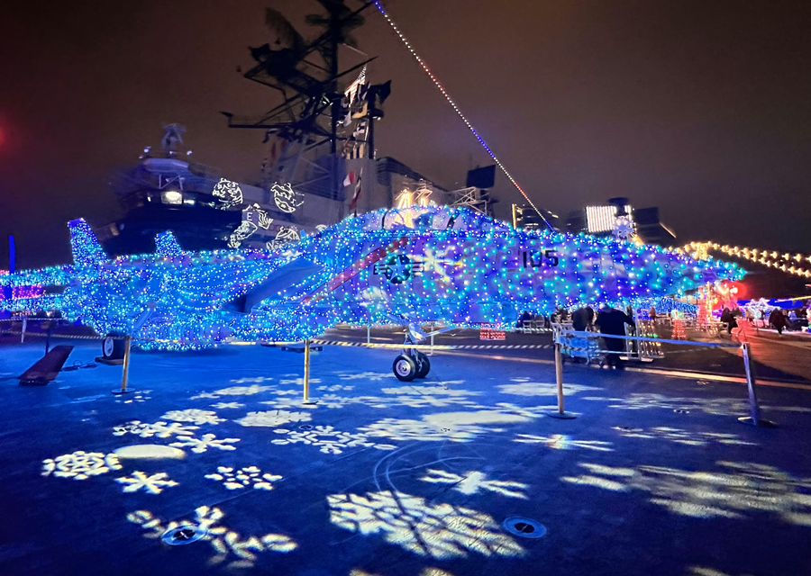 Things To Do For The Holidays In San Diego