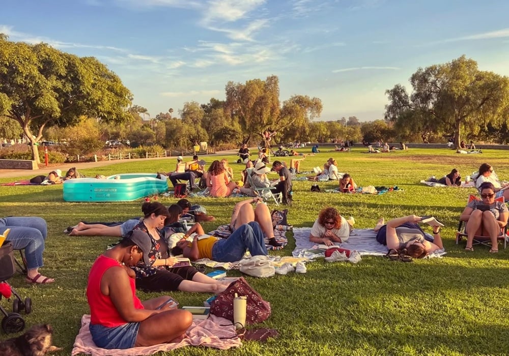 Verbatim Books In the Park Til Dark