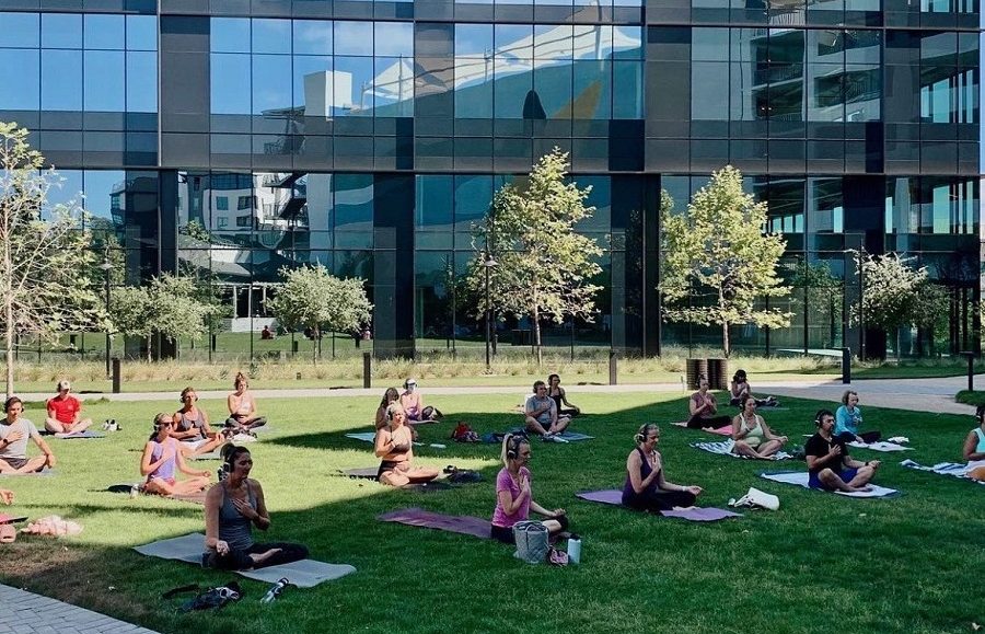 International Yoga Day Vibe Flow