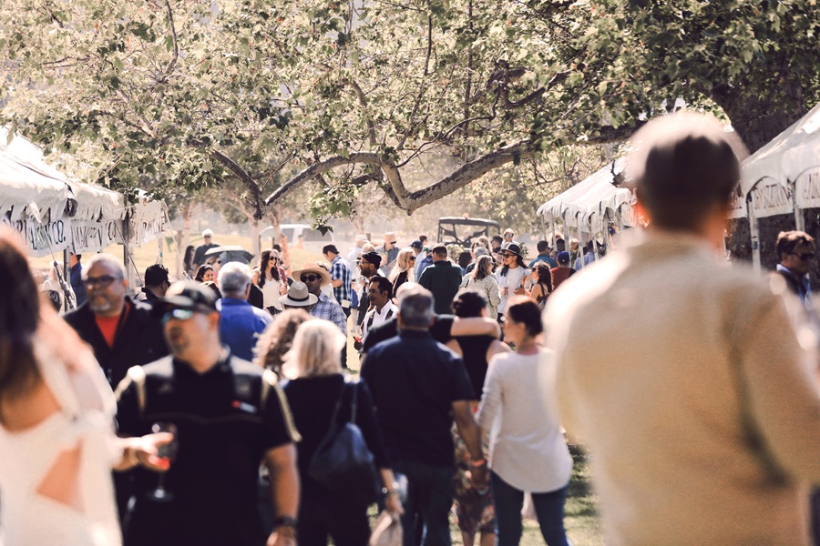 annual Vintners Festival