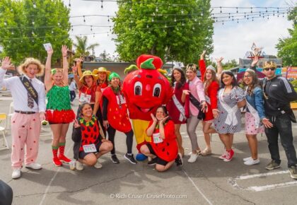 Vista Stawberry Festival