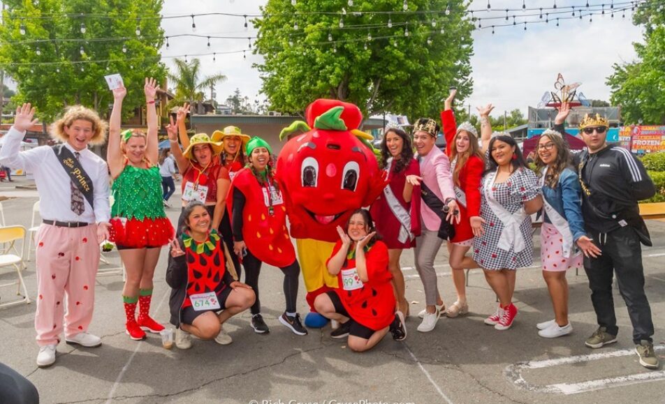 Vista Stawberry Festival