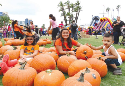 Waterfront Park Pumpkin Patch