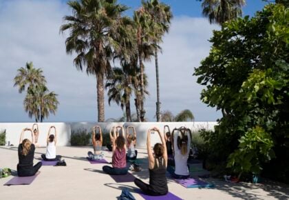 Wellness Experience at MCASD