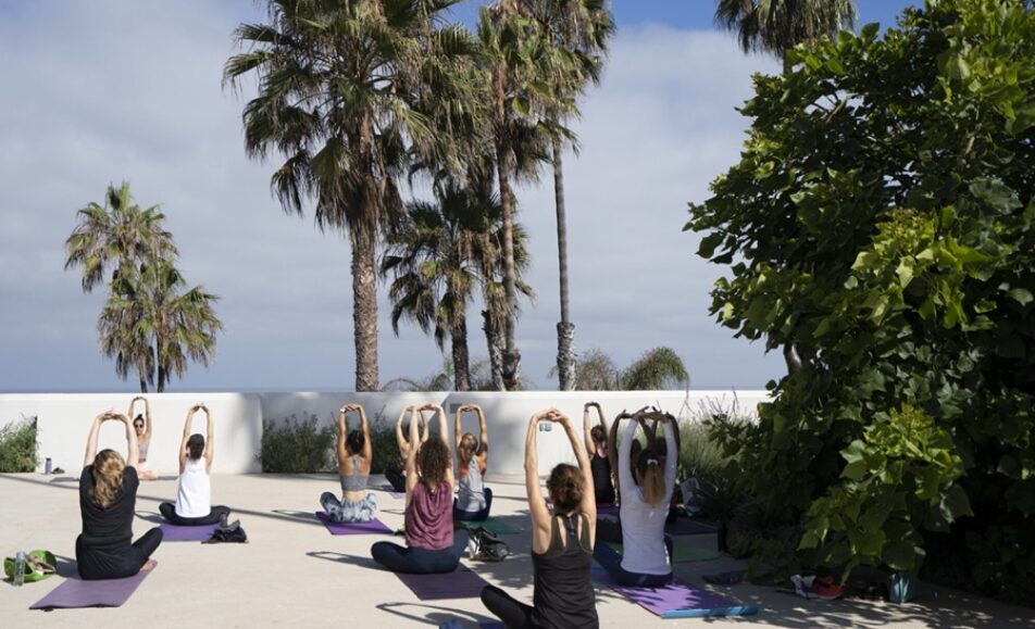 Wellness Experience at MCASD