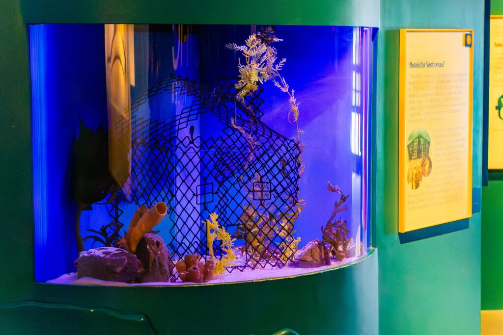 Seahorse Hotel at Birch Aquarium