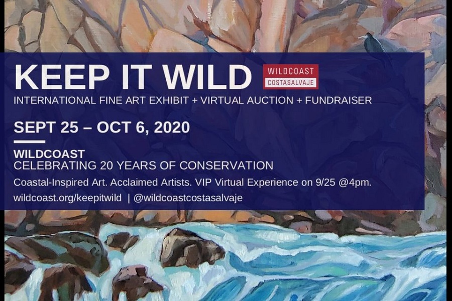Wildcoast International Fine Art Exhibition + Virtual Auction To Protect The Ocean + Coast