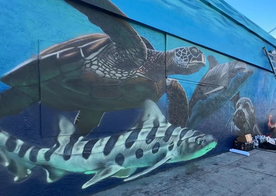 Wildcoast ocean-Inspired Mural in Pacific Beach