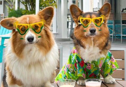 Yappy Hour 5 o'Clock Somewhere Rooftop