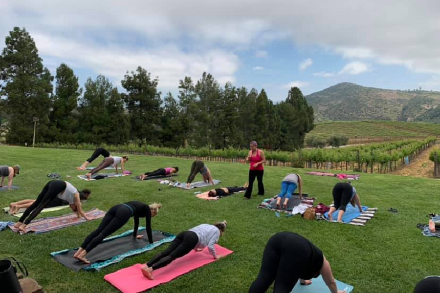 Get Some Needed "Me Time" At Vine-Yasa: Yoga And Wine At Orfila Vineyard 