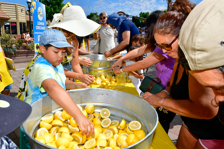 Annual Lemon Festival in Downtown Chula Vista