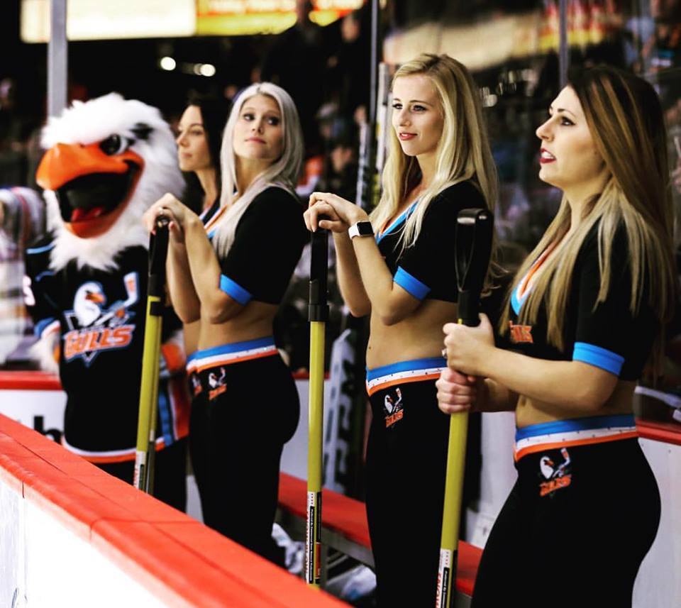 San Diego Gulls on X: Join our Gulls Girls team! If you want to