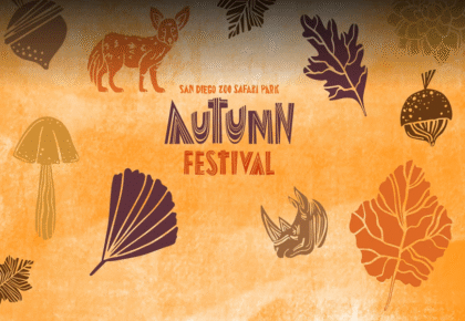 san diego zoo safari park autumn festival