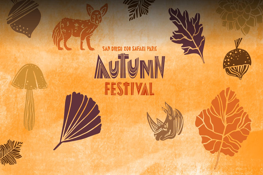 san diego zoo safari park autumn festival