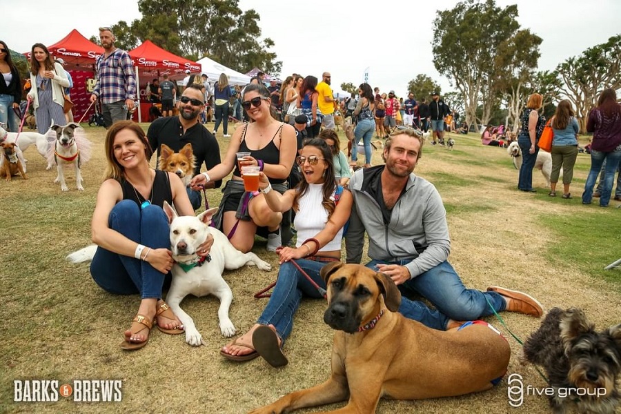 The San Diego Barks And Brews Dog Festival