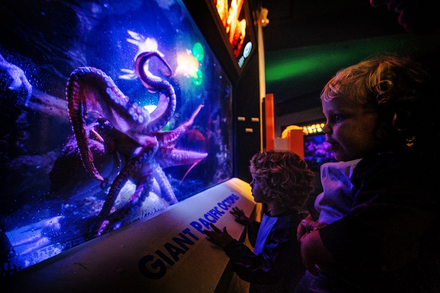 Celebrate 20 Years Of Spooky Science At Haunted Aquarium