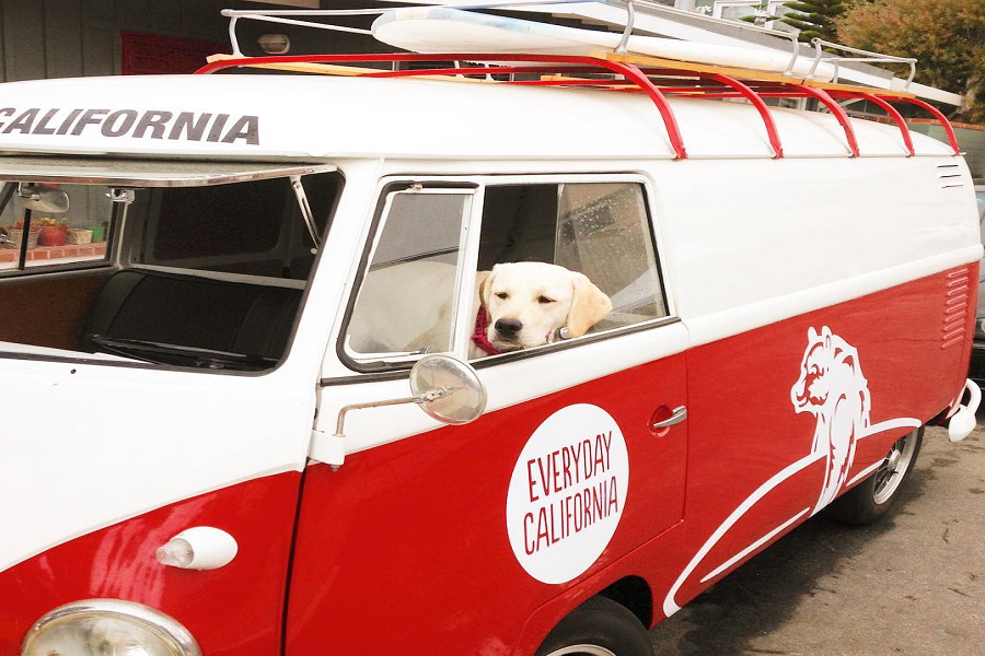 Everyday California Obtains Surf Permit To Operate Surf Classes And Camps At La Jolla Shores Beach