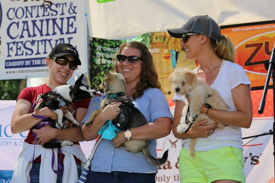The 14th Annual Cardiff Dog Days Of Summer