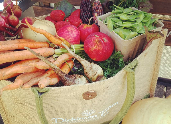 Dickinson Farm and Garden Kitchen