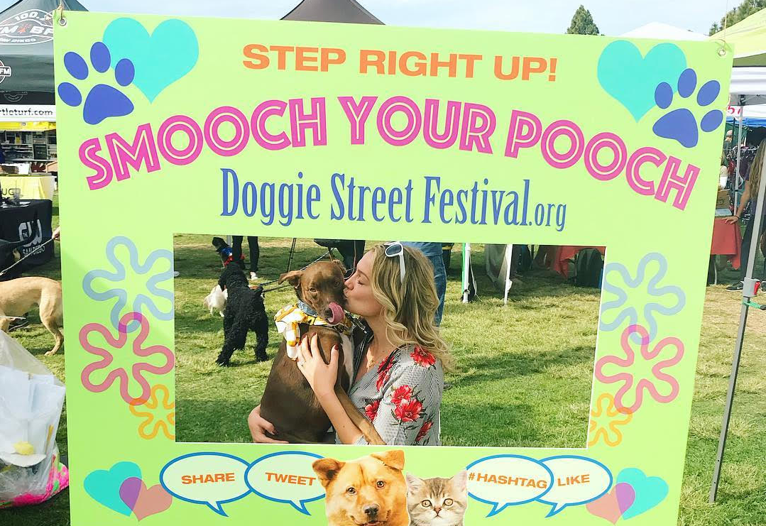 The 11th Annual Doggie Street Festival