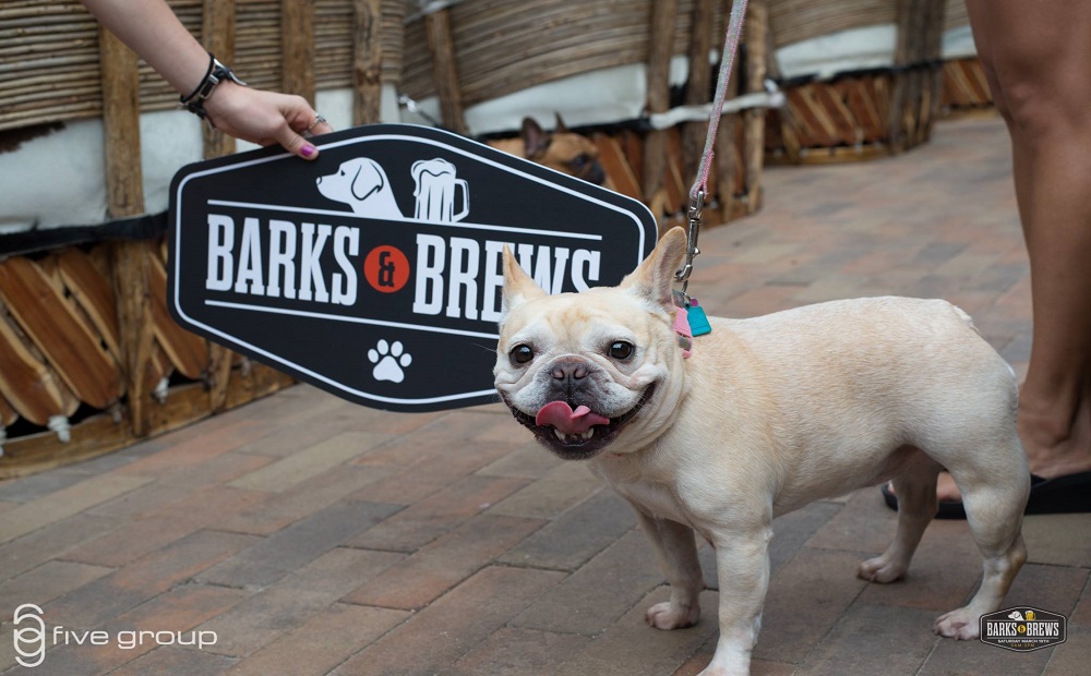 Barks & Brews Beer Festival