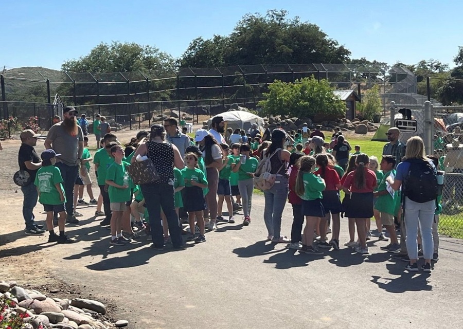 Lions Tigers and Bears School Field Trip Program