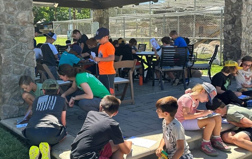 Lions Tigers and Bears School Field Trip Program