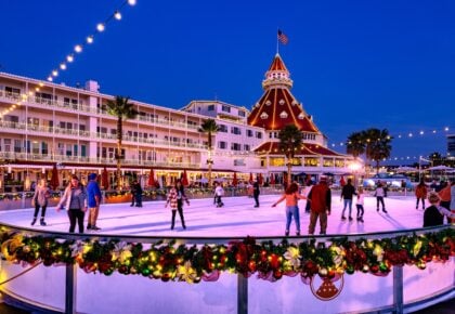 hotel del holiday special