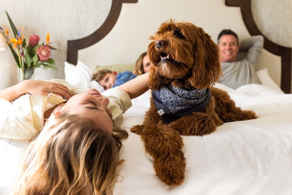 Omni La Costa Resort & Spa Dog Days of Summer