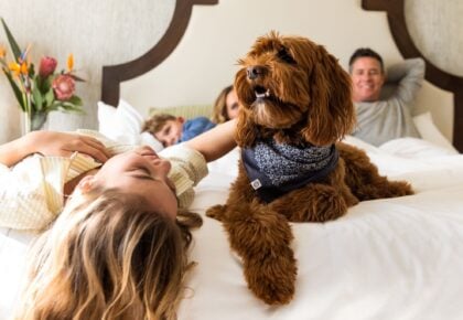 Omni La Costa Resort & Spa Dog Days of Summer