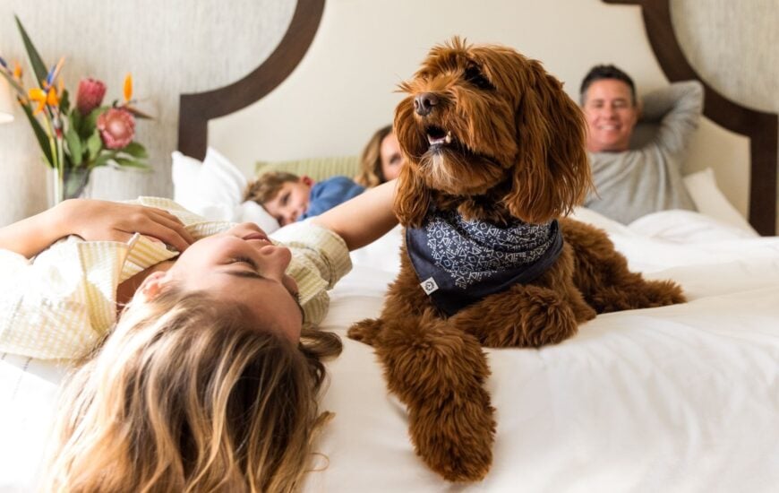 Omni La Costa Resort & Spa Dog Days of Summer