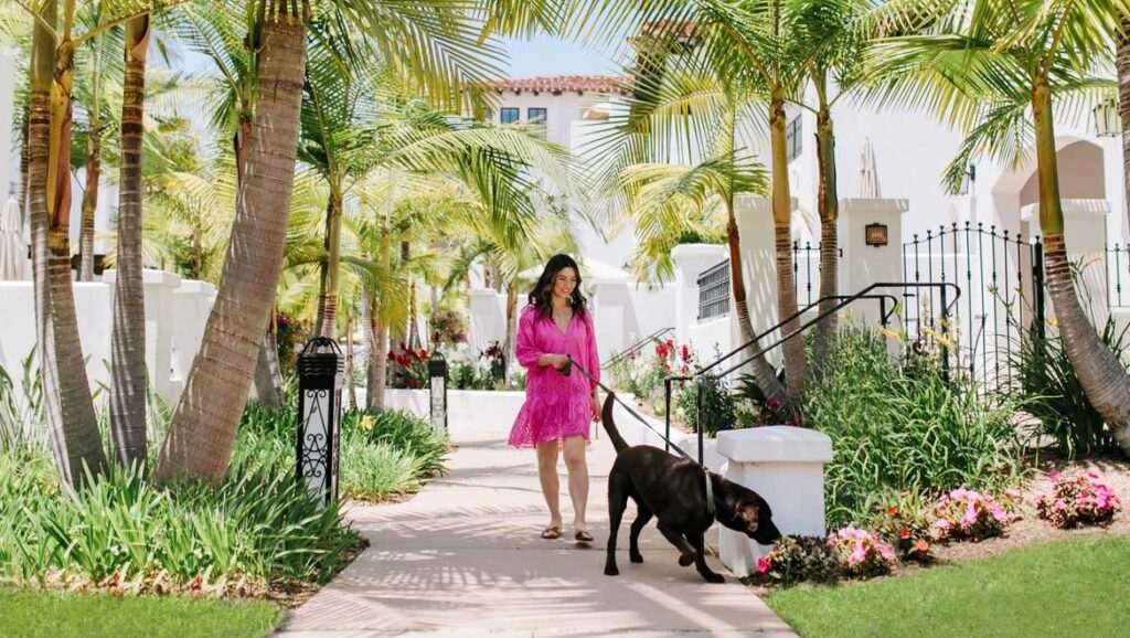 Omni La Costa Resort & Spa Dog Days of Summer