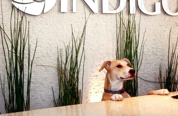 Hotel Indigo