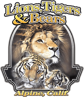 lion-tigers-bears