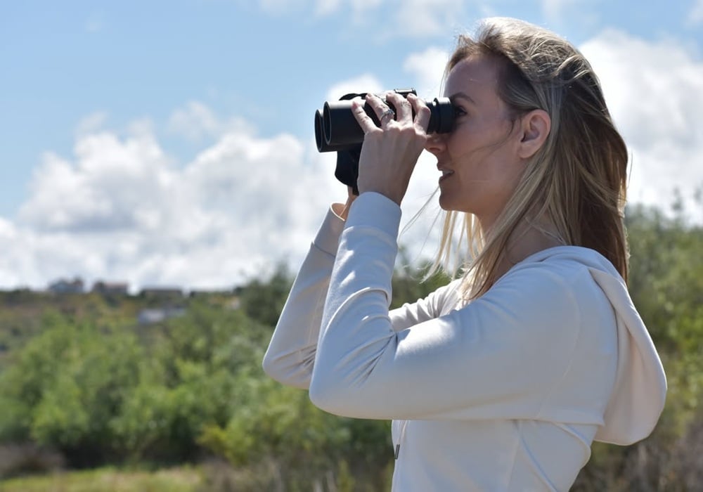 nature collective august events
