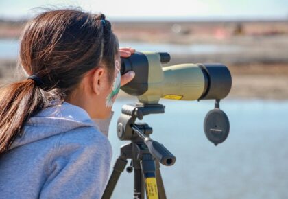 nature collective january events