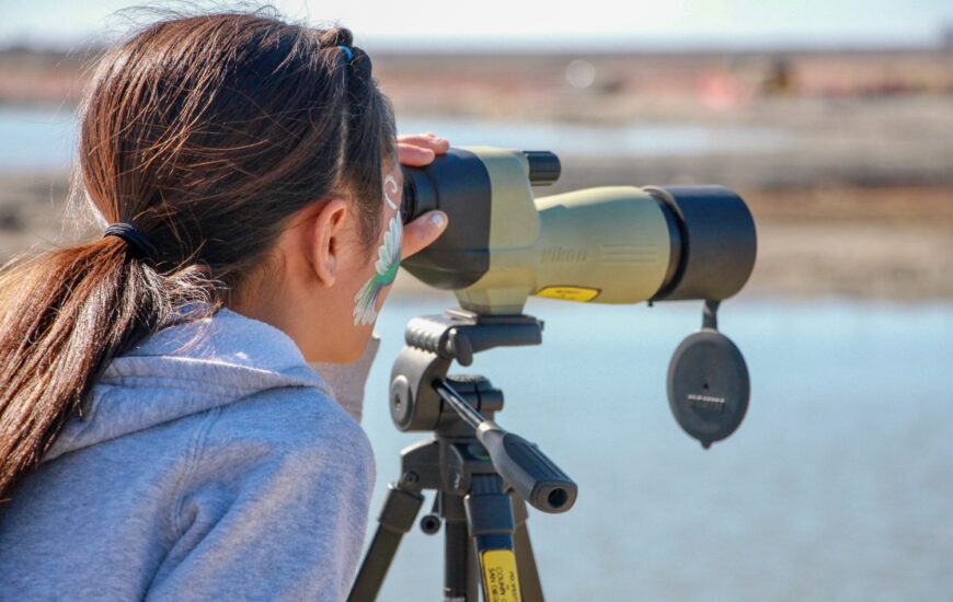 nature collective january events