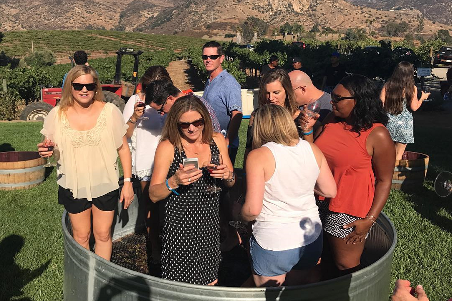 Annual Grape Stomp At The Orfila Vineyards & Winery