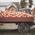 pumpkin patch san diego