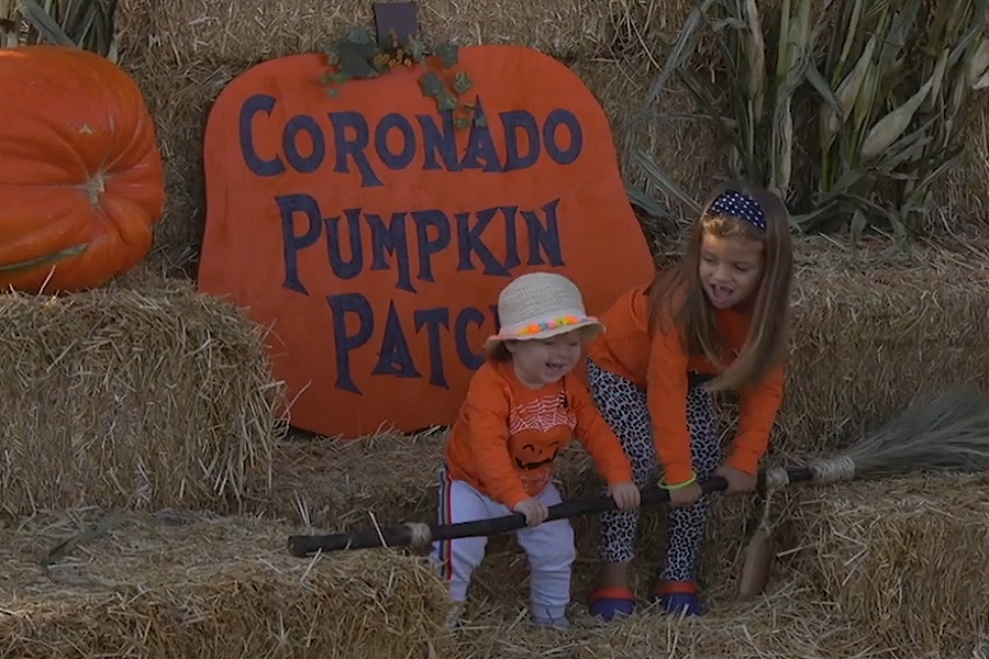 Let's Create An Island Tradition Together At The Coronado Pumpkin Patch