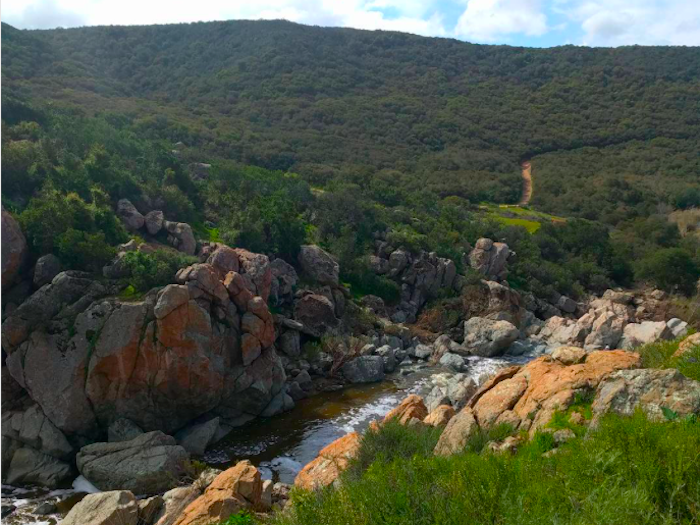 11 Of The Best Hikes In San Diego...Most Within 15 Minutes Of Your Door!