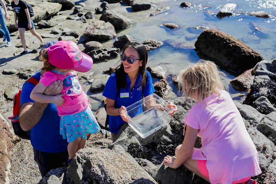 tidepooling adventure with naturalists