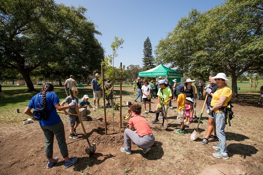 New Kate Sessions Birthday Celebration In Balboa Park Invites Tree Lovers To ‘Plant It Forward’