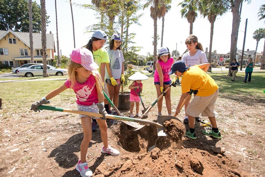 New Annual Family Event Celebrates Balboa Park's Trees And Kate Sessions