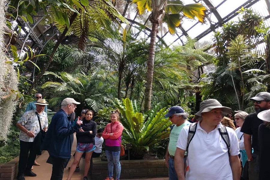  Walking Tour: The 10 Most Important Trees In Balboa Park, Part 1