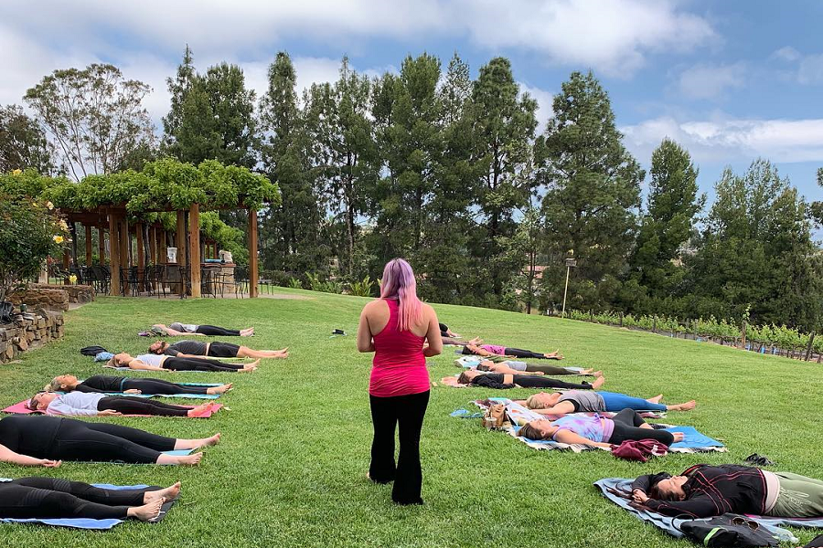 Join Us For The Popular Wine And Yoga Event At Orfila Vineyards